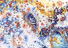 Milky way
Abstract art
Dmitry Stepanoff
Original paintings
Original art
VIEW ENLARGED