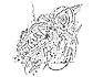 Raven and  raving
Abstract drawing
Dmitry Stepanoff
Original art
VIEW ENLARGED