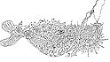 Fish a whale
Abstract drawing
Dmitry Stepanoff
Original art
VIEW ENLARGED