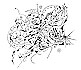 Can Din sky
Abstract drawing
Dmitry Stepanoff
Original art
VIEW ENLARGED