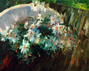 Daisies