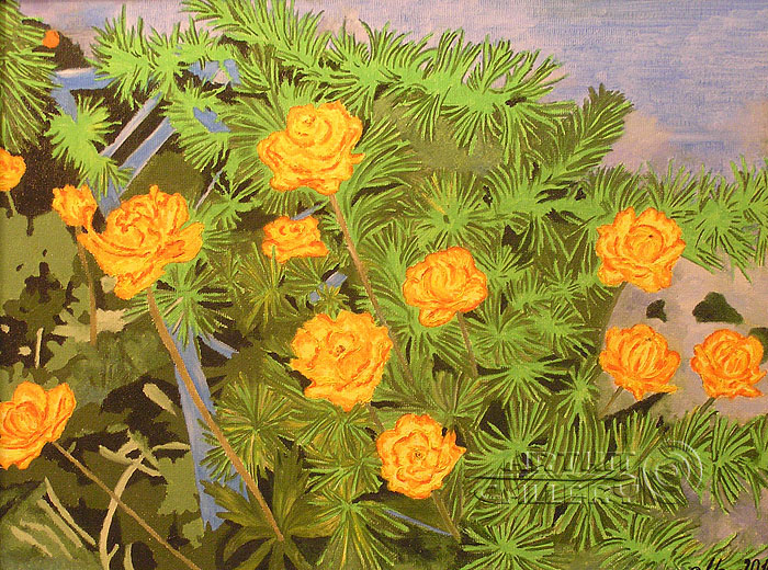 The Asian Globeflowers
Ekaterina Metz
Still life paintings