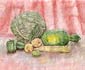 Still life
Original paintings 
Still life with a cabbage 